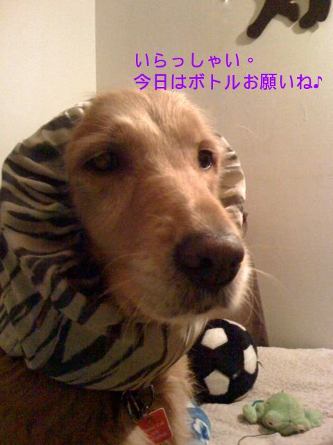 f0039538_2046389.jpg
