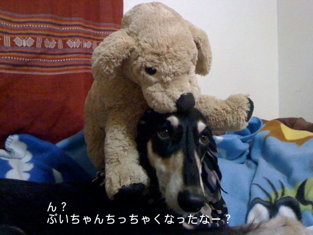 f0039538_20483096.jpg