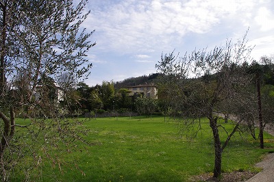 d0092439_111519.jpg