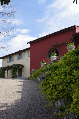 d0092439_113149.jpg