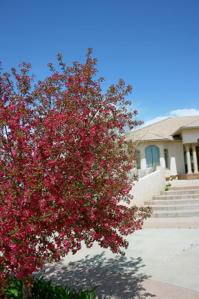 e0104941_12303550.jpg
