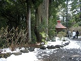 b0157246_22191442.jpg