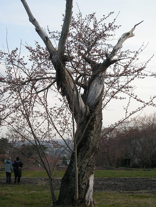 b0157246_22573947.jpg