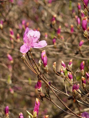 c0057946_1812465.jpg