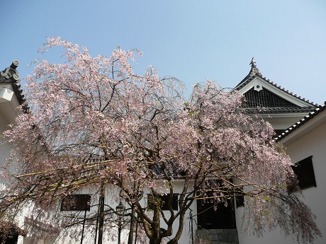 c0057946_1827944.jpg