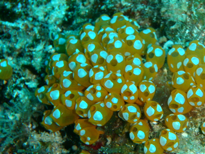 d0065247_1904082.jpg