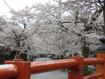 b0174451_8161451.jpg