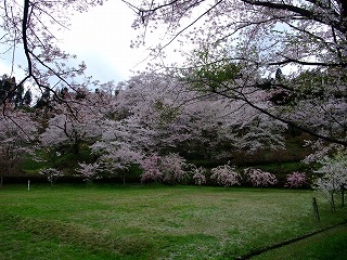 c0208355_1221215.jpg