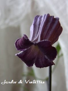 e0118257_1692741.jpg