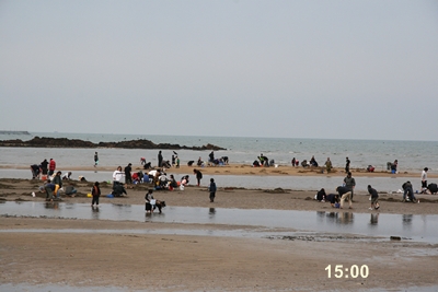 d0054461_6372999.jpg