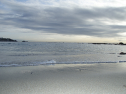 f0164662_17442488.jpg