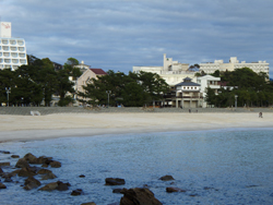 f0164662_1744572.jpg