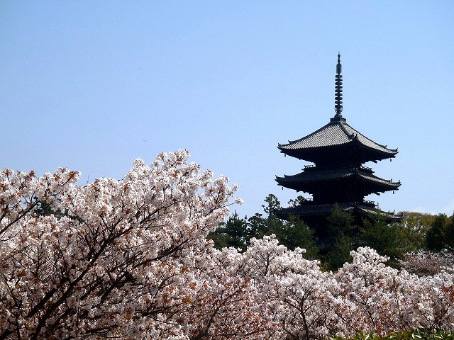 b0044663_12331030.jpg