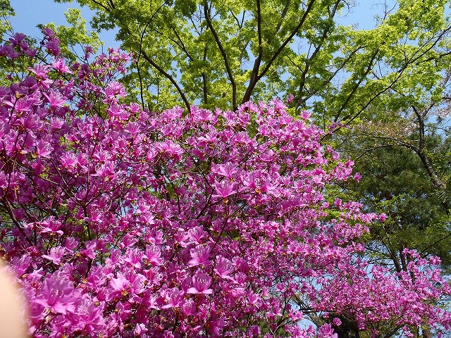 b0044663_12353711.jpg