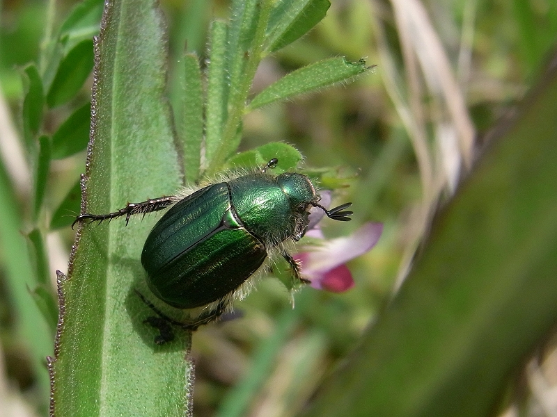c0142963_23252417.jpg