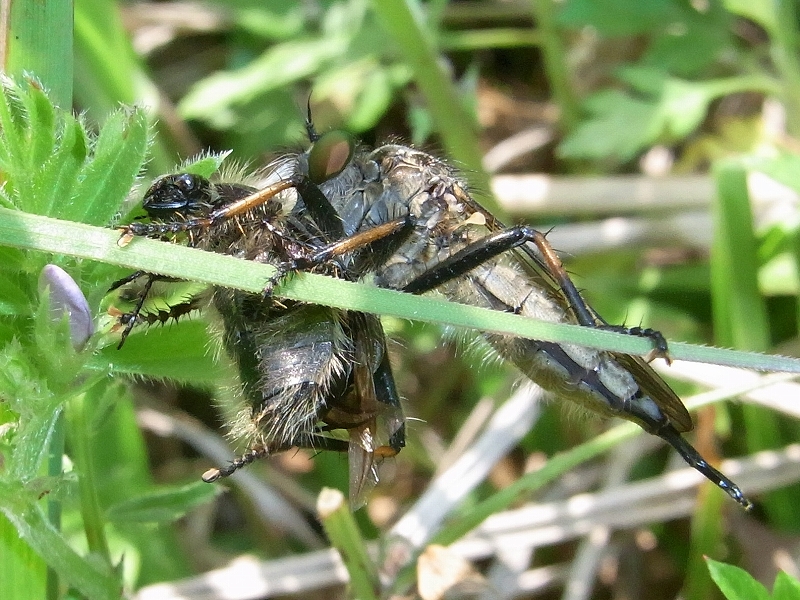 c0142963_23274757.jpg