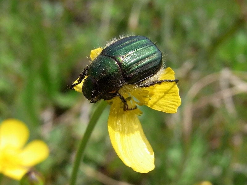 c0142963_23283540.jpg
