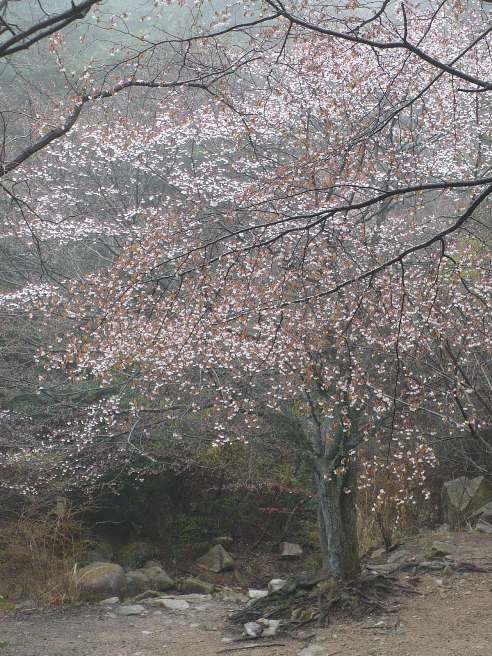 a0063364_2156148.jpg