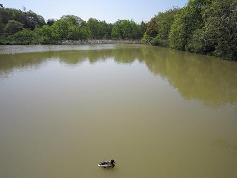 d0120665_2002741.jpg