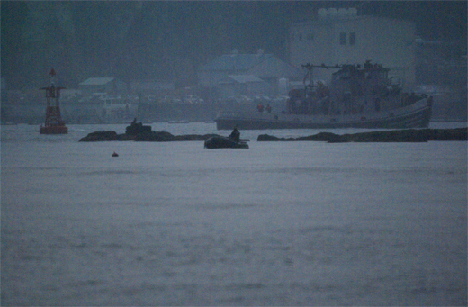 c0122266_2395163.jpg