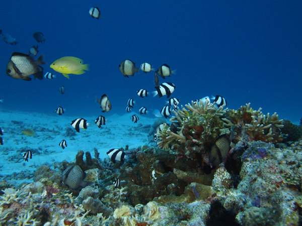 b0138768_0404130.jpg