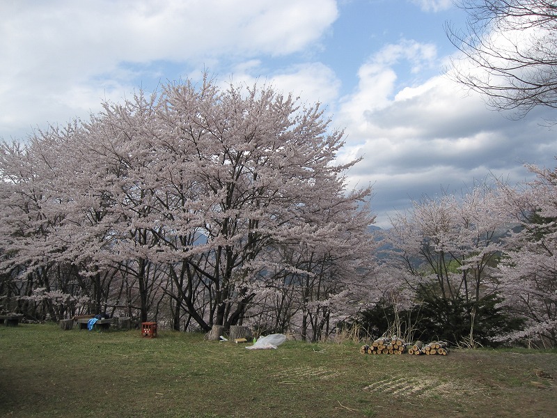 a0104569_14593099.jpg