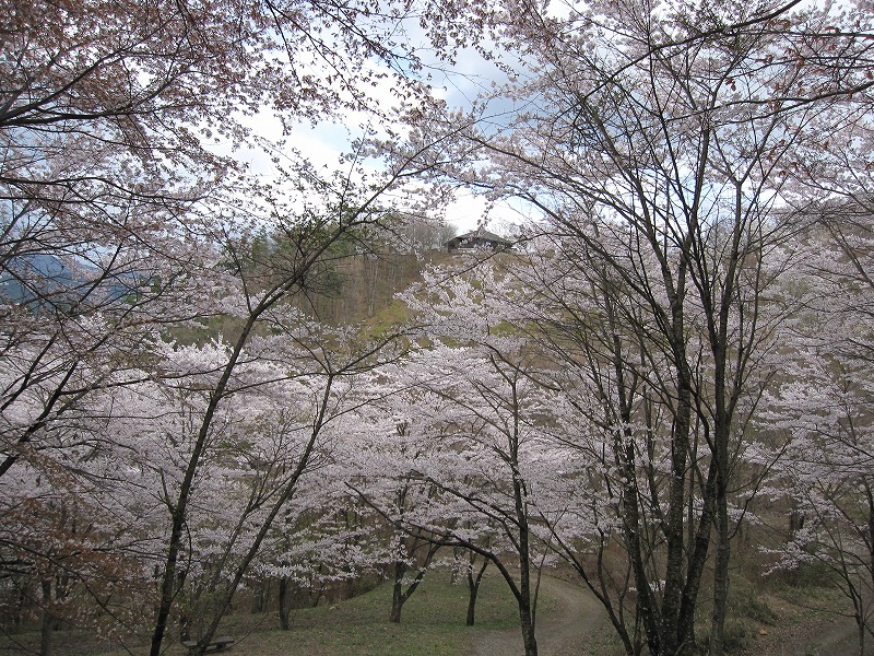 a0104569_153309.jpg