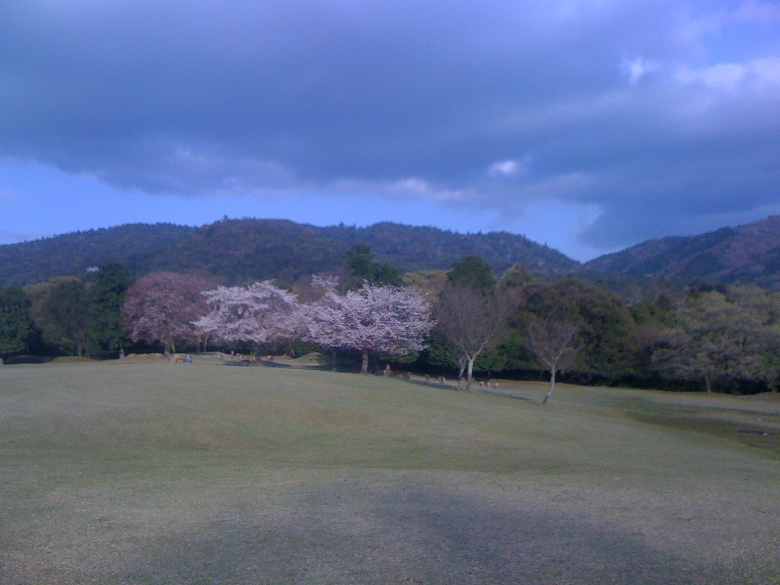 b0055976_140579.jpg
