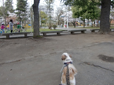 f0213476_7202818.jpg