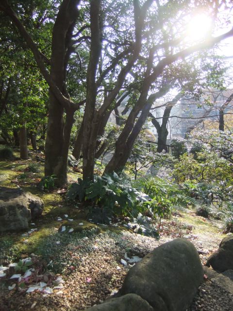 e0132881_23522620.jpg