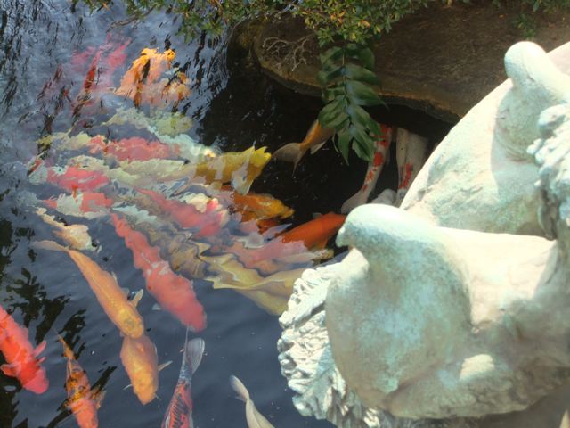 e0132881_2352638.jpg