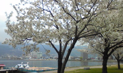 b0003483_10551366.jpg