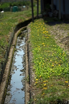 e0190885_19525148.jpg