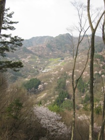 a0034487_19461824.jpg
