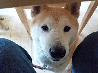 c0123890_20123081.jpg