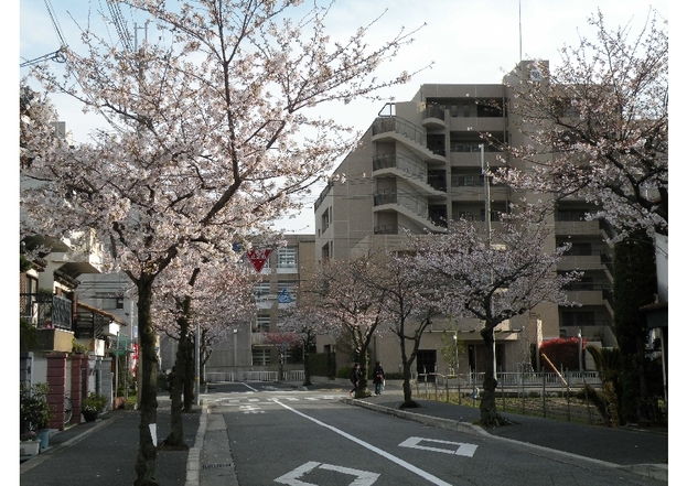 a0064392_21432165.jpg