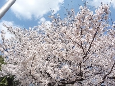 c0108693_235023.jpg