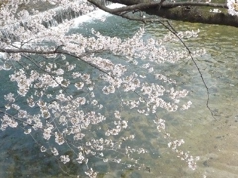 c0108693_2352110.jpg