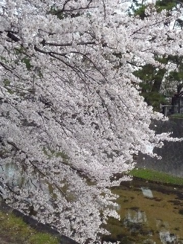 c0108693_2353471.jpg