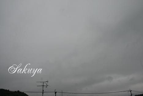 e0122194_1916872.jpg