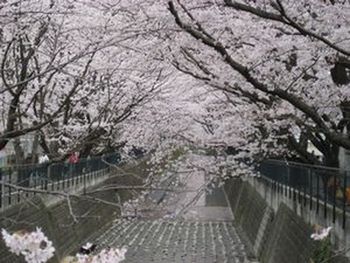 f0201297_2150990.jpg