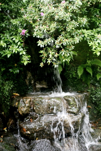 c0129498_23405671.jpg
