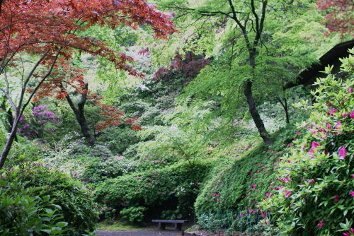 c0129498_23415114.jpg