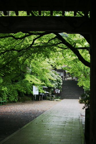 c0129498_2342407.jpg