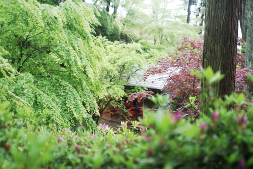 c0129498_2342433.jpg