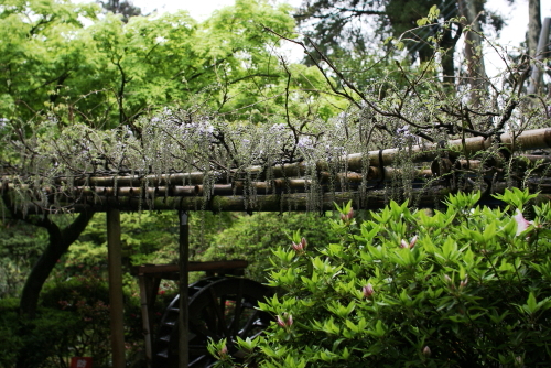 c0129498_23425251.jpg