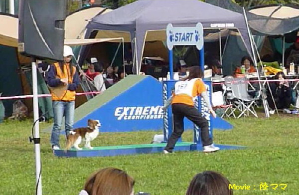 c0044199_15445025.jpg