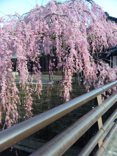 f0219299_8151179.jpg