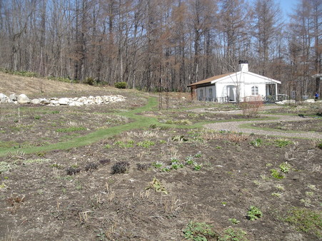 f0229399_2354820.jpg