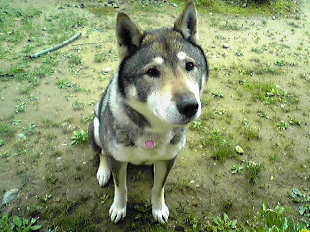 f0079202_1445289.jpg